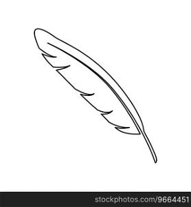 bird feather outline