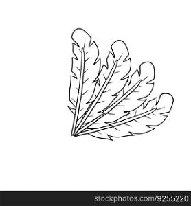 Bird feather. Plumage of flying animal. Decorative element. Cartoon illustration for Coloring book. Bird feather. Plumage of flying animal