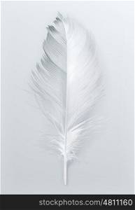Bird feather, vector icon