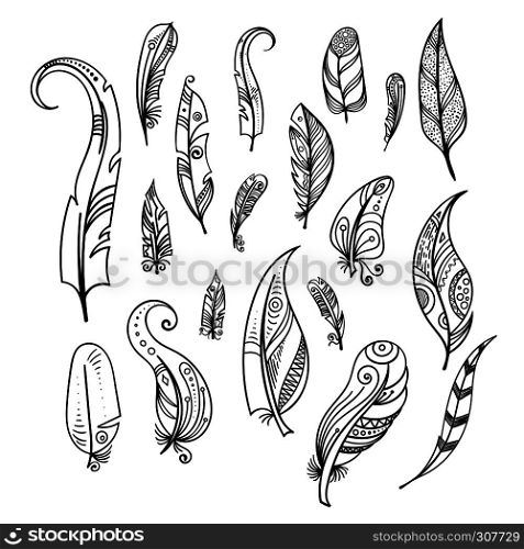 Bird feathers. Hand drawing indian elements set isolate on white. Boho style indian feather, ethnic drawing sketch feather. Vector illustration. Bird feathers. Hand drawing indian elements set isolate on white. Boho style