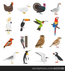 Bird Flat Color Icons Set. Bird flat color icons set of penguin woodpecker parrot owl turkey goose chicken duck isolated vector illustration