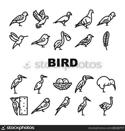 Bird Flying And Eggs In Nest Icons Set Vector. Toucan And Eagle, Crane And Pelican, Sparrow And Stork Flight Bird. Hummingbird And Woodpecker Wildlife In Nature Black Contour Illustrations. Bird Flying And Eggs In Nest Icons Set Vector