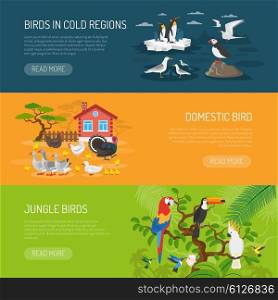 Bird Horizontal Banners Set. Flat horizontal banners set of birds in cold regions domestic birds and jungle birds vector illustration