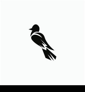 Bird icon and symbol vector illustration