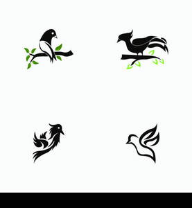 Bird icon and symbol vector illustration