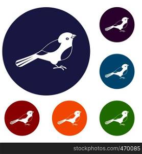 Bird icons set in flat circle reb, blue and green color for web. Bird icons set