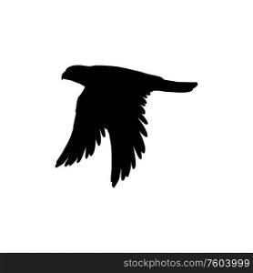 Bird in flight isolated black silhouette. Vector falcon or eagle, flying feathered animal. Eagle in flight isolated bird silhouette icon