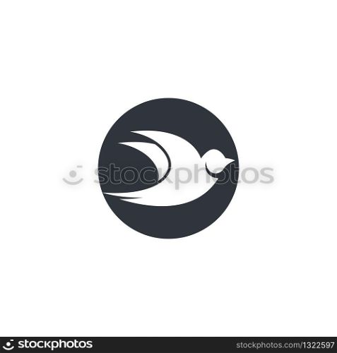 Bird logo template vector icon illustration