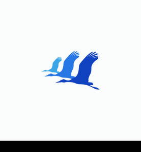 Bird Logo Template vector illustration