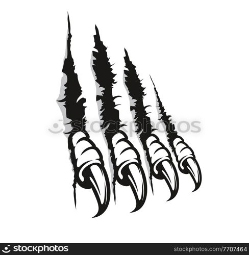 Bird of prey claw marks, scratches, vector monster fingers with long nails tear through paper or wall. Wild animal rips, dragon paw sherds, beast break, four talons traces isolated on white background. Bird of prey claw marks, scratches, monster nails
