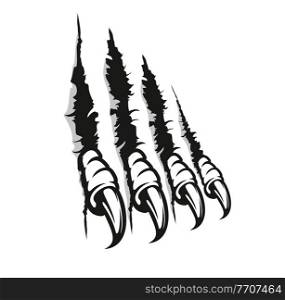 Bird of prey claw marks, scratches, vector monster fingers with long nails tear through paper or wall. Wild animal rips, dragon paw sherds, beast break, four talons traces isolated on white background. Bird of prey claw marks, scratches, monster nails