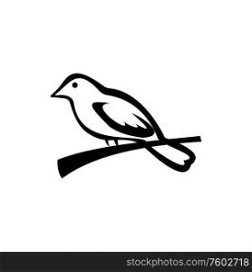 Bird on branch isolated sparrow. Vector outline black swallow on tree, wildlife concept. Sparrow on branch isolated bird silhouette