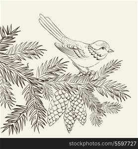 Bird on christmas fir and pinecone. Vector illustration.