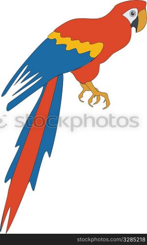 Bird parrot in color 03