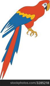 Bird parrot in color 03