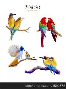 Bird set collection from watercolor original painting colorful of couple bird or lovely collection, Vector illustration isolated on white background from hand painted realistic