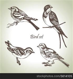 Bird set, hand-drawn illustration