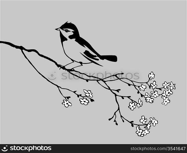 bird silhouette on gray background, vector illustration