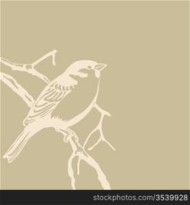 bird silhouette on old paper, vector illustration