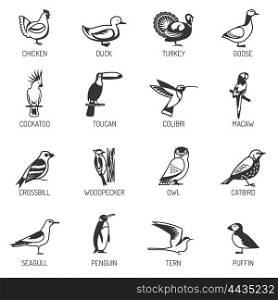 Bird Silhouette Set. Set of different birds silhouettes from various living environment with titles flat isolated vector illustration
