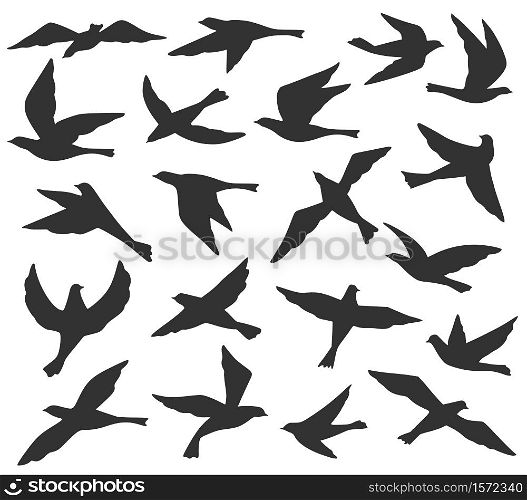 Bird silhouettes. Flying birds flock, animal wildlife migration, doves soar in sky. Black tattoo templates vector set. Pigeons in different positions collection isolated on white illustration. Bird silhouettes. Flying birds flock, animal wildlife migration, doves soar in sky. Black tattoo templates vector set