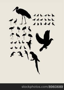 Bird silhouettes vector image