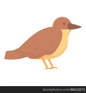 Bird sparrow icon cartoon vector. Tree flying. Branch sparrow. Bird sparrow icon cartoon vector. Tree flying
