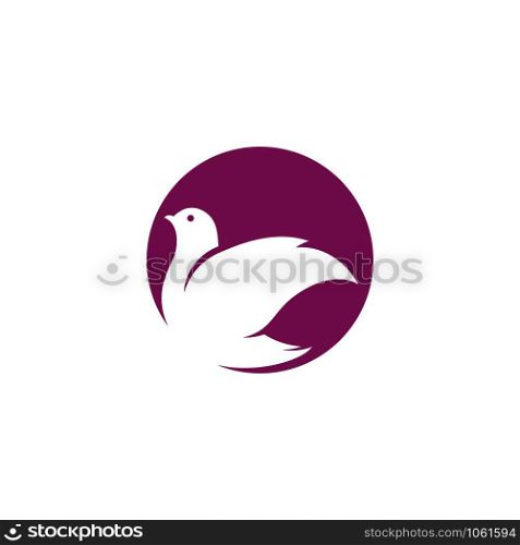 Bird wing Dove Logo Template vector illustration