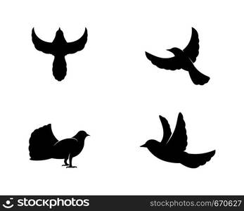 Bird wing Dove Logo Template vector illustration