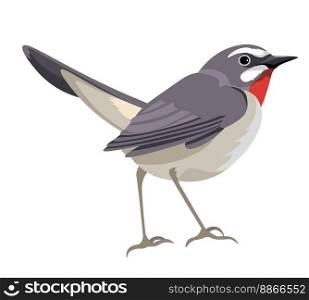 Bird with colorful plumage and feathers, isolated portrait of cute character. Avian animal species and kinds of birdies. Ornithology and birdwatching, zoology and wilderness. Vector in flat style. Swift bird, avian animal portrait, wild species