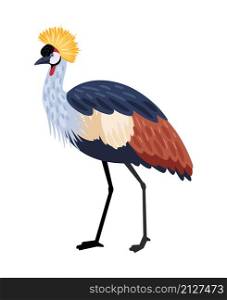 Bird with long legs. Cartoon colored exotic character of nature with beak and feathers, vector illustration of crested crane isolated on white background. Bird with long legs