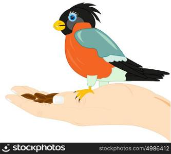 Birdie on palm of the person. Birdie bullfinch on palm of the person with seed