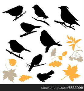 Birds and Plants Silhouettes isolated on white background