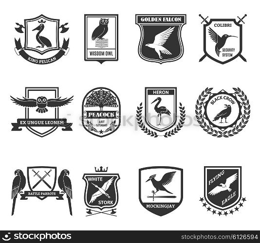 Birds Emblems Black Icons Collection . Birds black emblems collection with colibri hummingbird security system shield and golden falcon label abstract isolated vector illustration