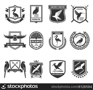 Birds Emblems Black Icons Collection . Birds black emblems collection with colibri hummingbird security system shield and golden falcon label abstract isolated vector illustration