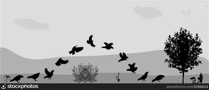 Birds Fly in Nature. Vector Illustration. EPS10. Birds Fly in Nature. Vector Illustration.