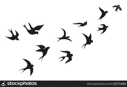 Birds, illustration, vector on white background.