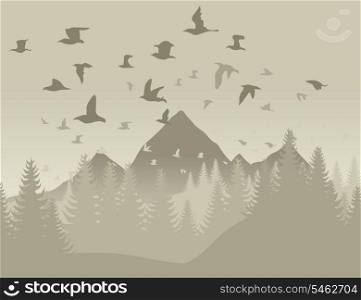 Birds in mountains. The flight of birds flies by over mountains. A vector illustration