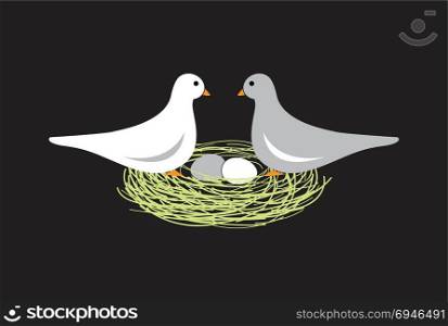 Birds in nest with eggs on black background