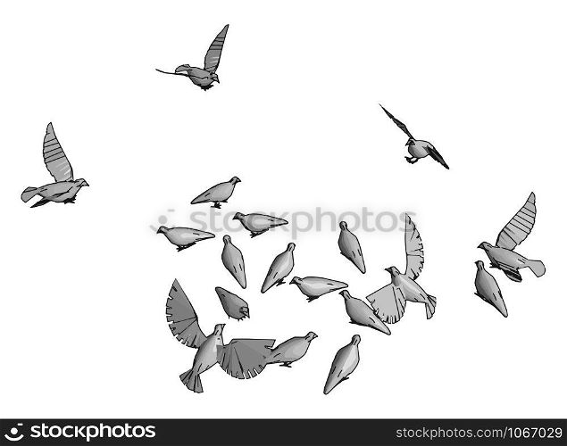 Birds in the sky, illustration, vector on white background.