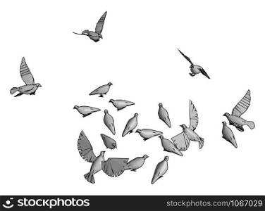 Birds in the sky, illustration, vector on white background.