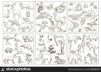 Birds mammals and amphibians wild animals species sketch icons vector forest and South American sea and Australian Asian and African creatures rabbit and deer sloth and leopard seal and whale kangaroo. Wild animals species sketch icons birds mammals and amphibians