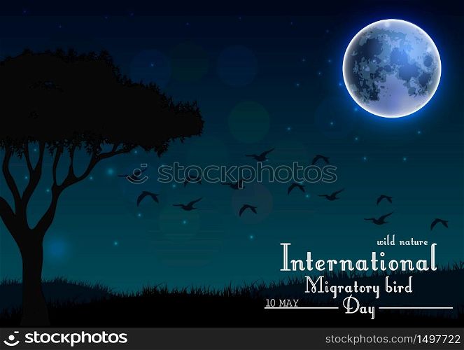 Birds migratory day on night background.Vector