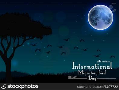Birds migratory day on night background.Vector