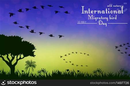 Birds migratory day on sunset background.Vector