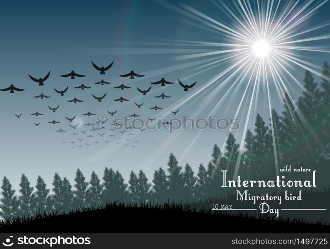 Birds migratory day with palm tree and sunlight.Vector