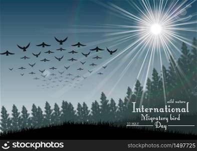 Birds migratory day with palm tree and sunlight.Vector