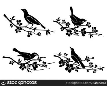 Birds on branches. Nature and animal, silhouette and flower and wildlife Vector illustration. Birds on branches. Vector silhouettes