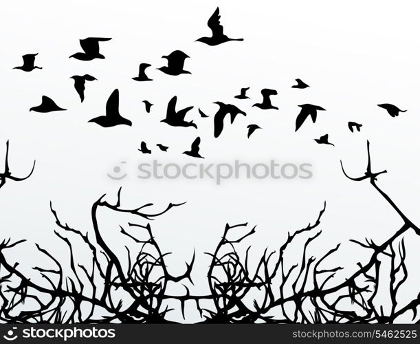 Birds over wood. The flight of birds flies over wood. A vector illustration