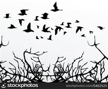 Birds over wood. The flight of birds flies over wood. A vector illustration
